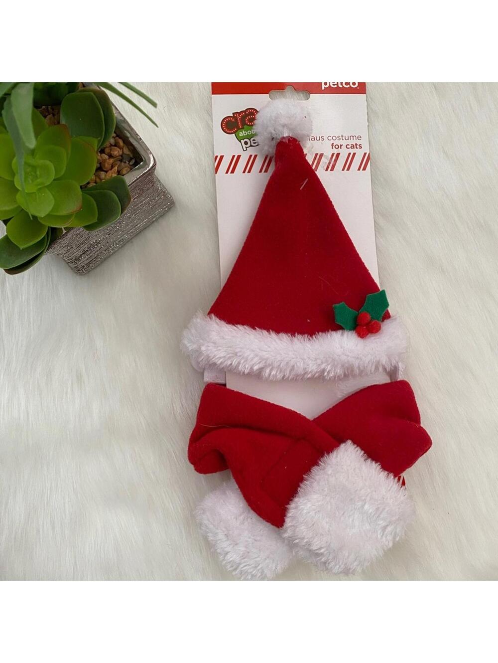 Petco Santa Cat Costume Hat Booties Holiday Set